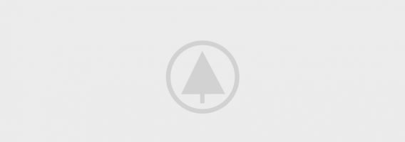 wood-portfolio-placeholder